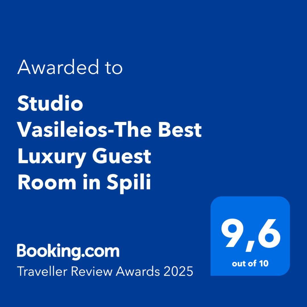 Studio Vasileios-The Best Luxury Guest Room In Spili Szpíli Kültér fotó